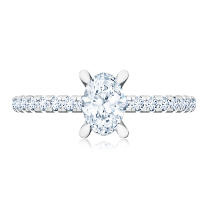T8429_whitegold_0